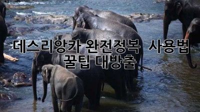데스리앙카 완전정복! 🧙‍♀️ 사용법 & 꿀팁 대방출